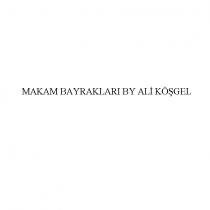 makam bayraklari by ali köşgel