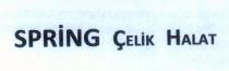 spring çelik halat
