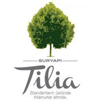 sur yapı tilia standartların üstünde ıhlamurlar altında.
