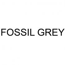 fossil grey