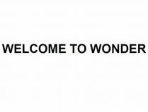 welcome to wonder