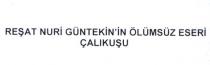 reşat nuri güntekin'in ölümsüz eseri çalıkuşu