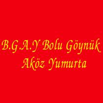 b.g.a.y bolu göynük aköz yumurta