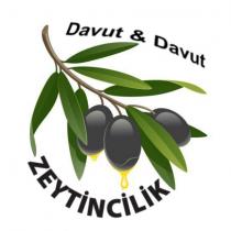 davut&davut zeytincilik