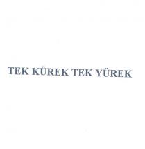 tek kürek tek yürek