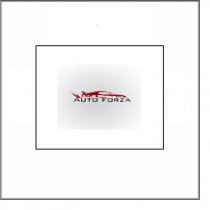 auto forza