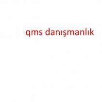 qms danışmanlık