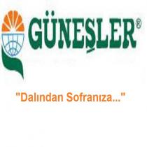 güneşler dalından sofranıza