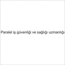 paralel iş güvenliği ve sağlığı uzmanlığı