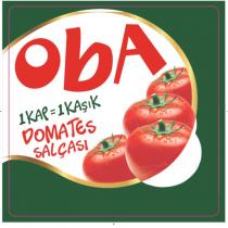 oba bir kap bir kaşık domates salçası