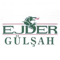 ejder gülşah