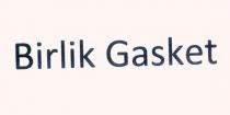 birlik gasket