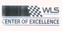 wls high performance detailing centre centet of excellence