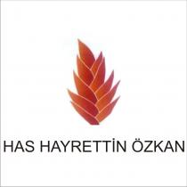 has hayrettin özkan