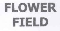 flower field