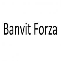 banvit forza