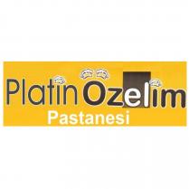 platin özelim pastanesi
