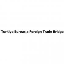 turkiye euroasia foreign trade bridge