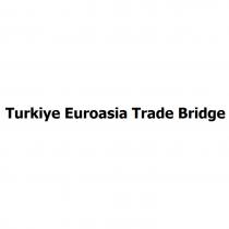 turkiye euroasia trade bridge