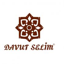 davut selim
