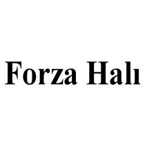 forza halı