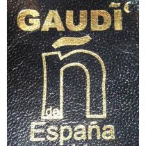 gaudi espana