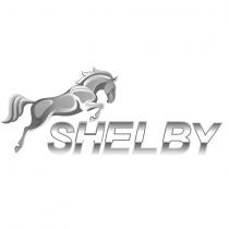 shelby