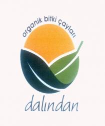 organik bitki çayları dalından