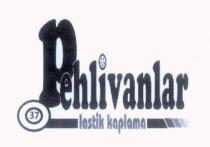 pehlivanlar lastik kaplama 37