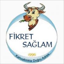 fikret sağlam