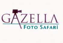 gazella foto safari