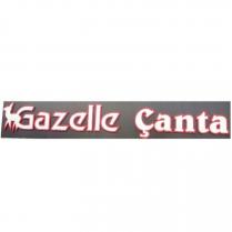 gazelle çanta