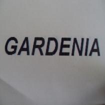 gardenia