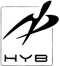 hyb