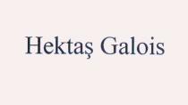 hektaş galois