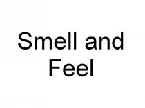smell and feel