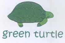 green turtle