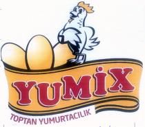yumix toptan yumurtacılık
