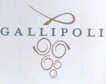 gallipoli