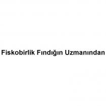 fiskobirlik fındığın uzmanından
