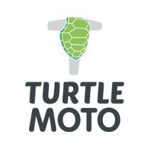 turtle moto