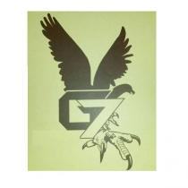 g7