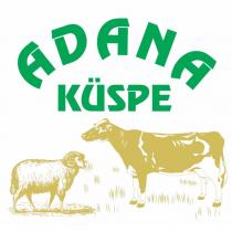 adana küspe