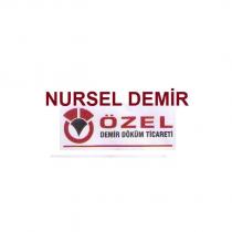 nursel demir özel demir döküm ticareti