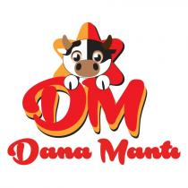 dm dana mantı +