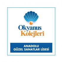 okyanus kolejleri anadolu güzel sanatlar lisesi