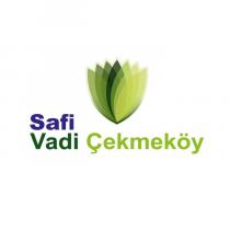 safi vadi çekmeköy