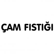 çam fıstığı
