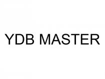 ydb master