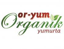or-yum organik yumurta